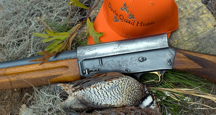 Davis Quail Hunts