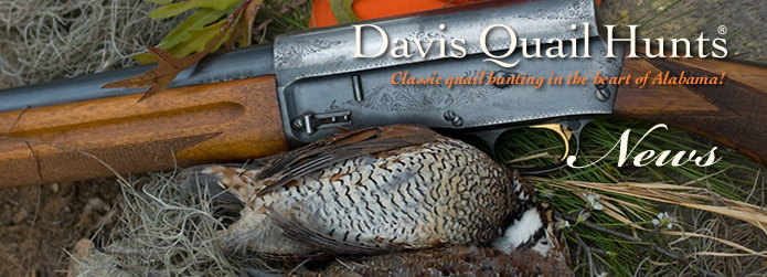 Davis Quail Hunts